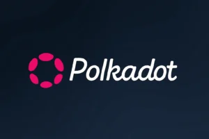 Polkadot (DOT) Nears Yearly Low at $3.00 While Bitcoin Reaches All-Time high